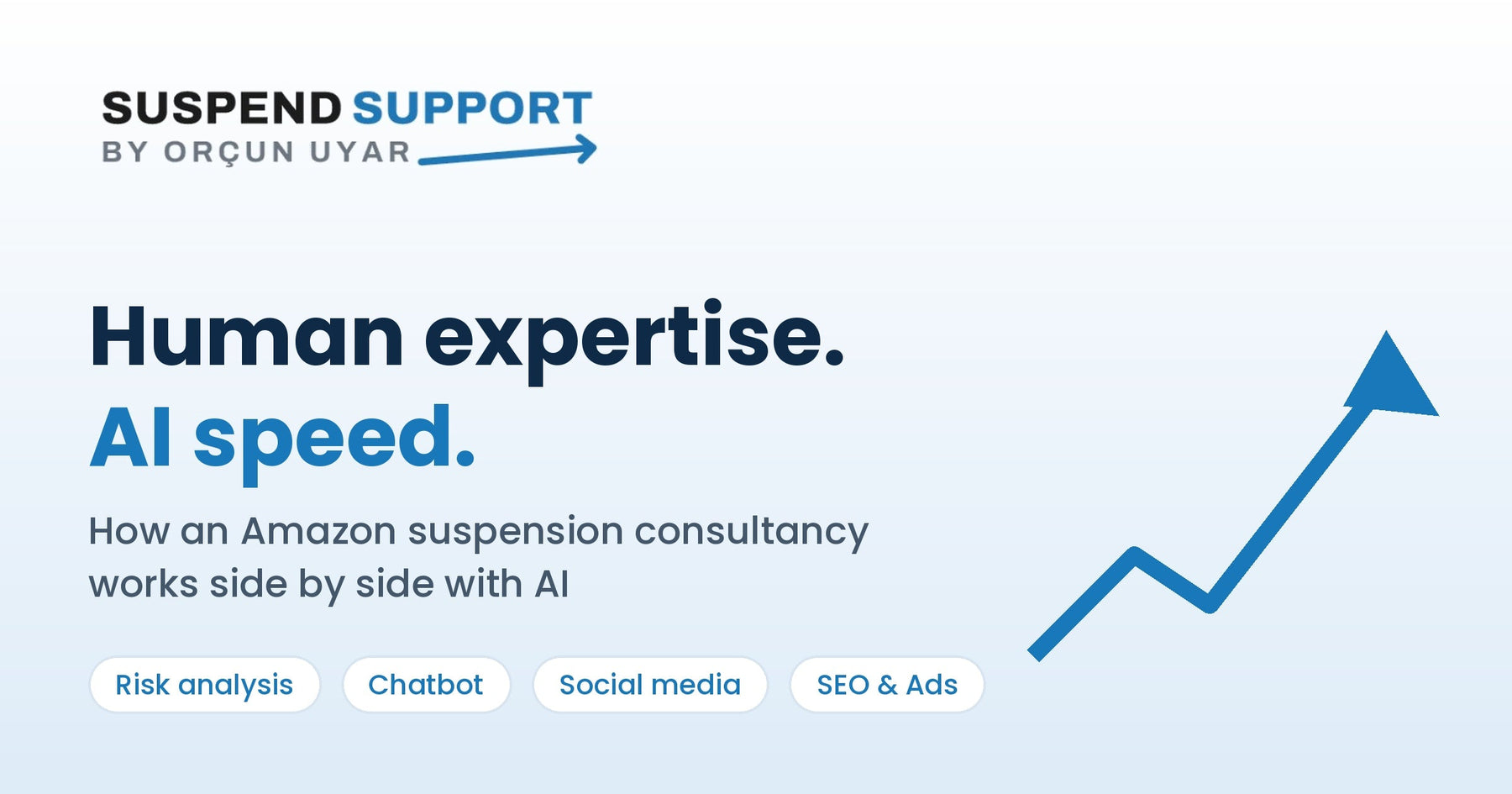 Human Expertise, AI Speed: How an Amazon Suspension Consultancy Works with Claude